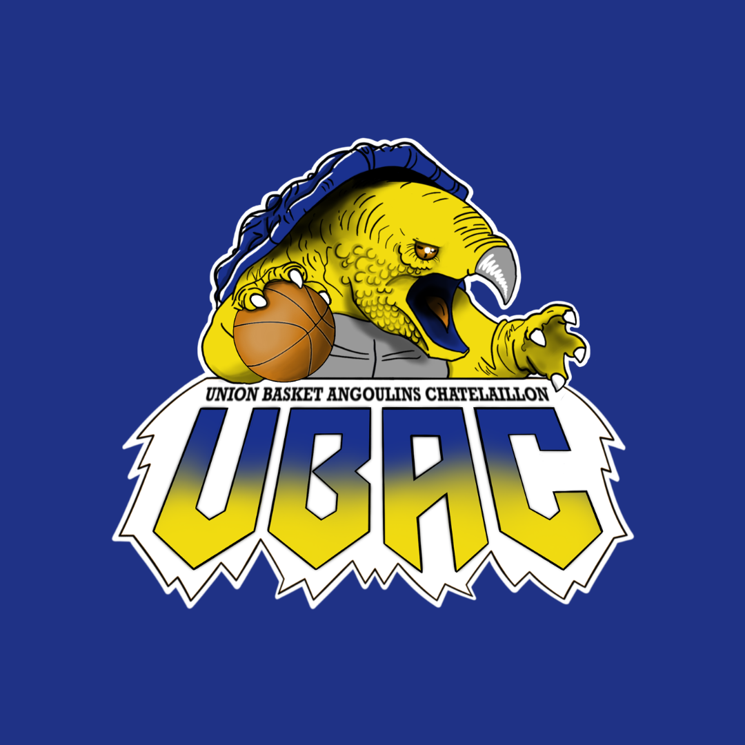 UNION BASKET ANGOULINS CHATELAILLON